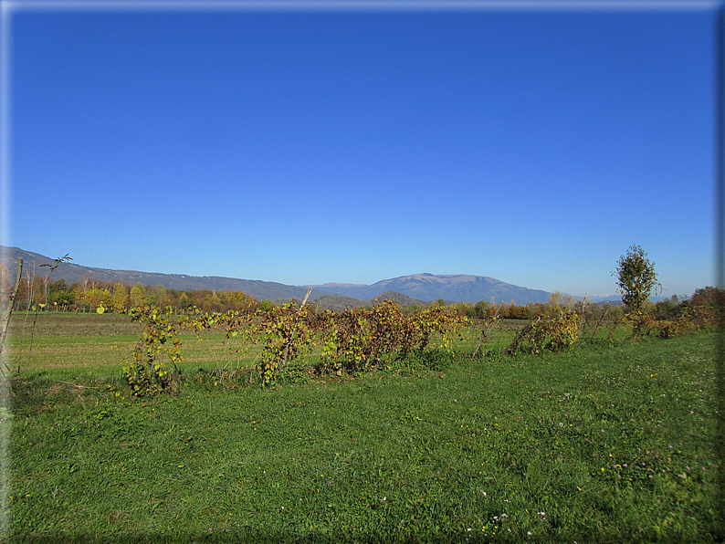 foto Alle pendici del Monte Grappa in Autunno